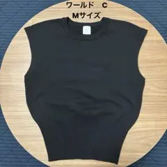 ワールド　C ノースリーブ　ニットベスト　サイズ38/Mのサムネイル
