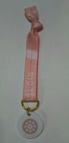 大演練 古今 リボン