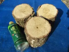 Item thumbnail for item 21e40f03-6034-46c1-96d8-5e02b0269078