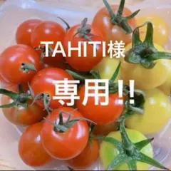 TAHITI 希少★ Victoria's Secret スーツケース TAHITI様専用 希少☆ Victoria's Secret スーツケース - メルカリ