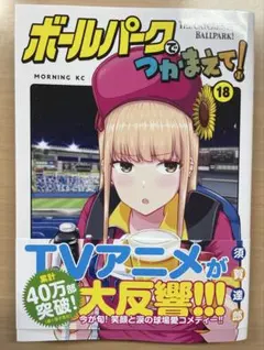 2026年最新】ボールパークでつかまえての人気アイテム - メルカリ