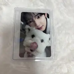 ZB1 ゼベワン never say never 犬 トレカ ユジン - メルカリ
