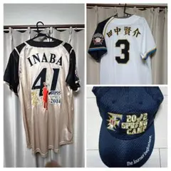 Item thumbnail for item c372592a-3efa-4733-aed9-b4c4c60cc5d3