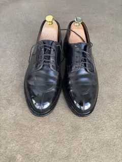 Item thumbnail for item 6e2ad543-d7dd-4819-a057-a587f2390a62