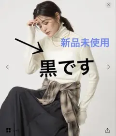 green label relaxing テレコタートルネック　透け感有り