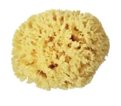 Item thumbnail for item 933af7c8-b9ba-48fc-9d55-5e1c70ea1b3a