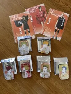 2026年最新】ハイキュー!! スクエア缶バッジ オフショット×カラー 第一