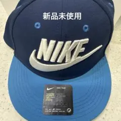 Item thumbnail for item d25cb881-1026-434c-ab6d-d1633e06bde1