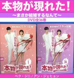 本物が現れた！ 全36巻セット DVD 韓国ドラマのサムネイル