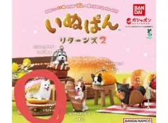 いぬぱん　リターンズ2　サモエド