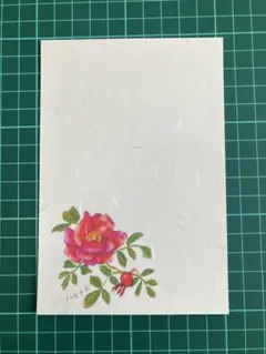 絵はがき 10枚 ハマナス #235 和紙ハガキ