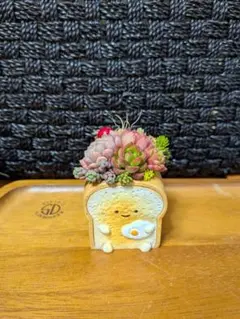 そのまま飾れる多肉植物☆食パンちゃん