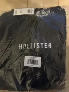 Hollister フーディー パーカー メンズS