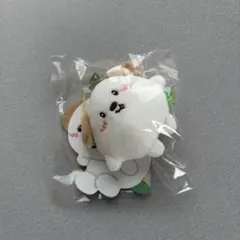 RIIZE モンリョンイ　キーリング　アントン