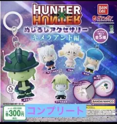 ハンターハンター めじるしアクセサリー 5 種コンプリート　キメラアント編