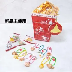 2025年最新】東京ディズニーリゾート ポップコーンキーチェーンの人気