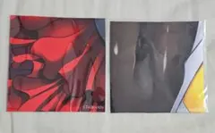 対魔忍 水城ゆきかぜ 井河さくら 対魔忍スーツ切れ端風クロス 新品未開封品