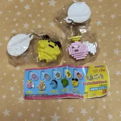 まるてん　まめっち　ドットフィギュアチャーム　ガチャ