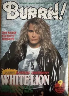 LLION vol.51 BURRN臨時増刊 2014年08月号 BURRN! ONLINE