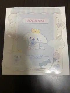 JOCHUM RURU 硬質カードケース