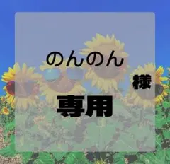 のんのん様専用