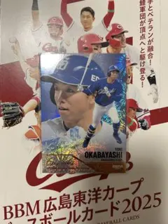 Item thumbnail for item d1fdca36-2738-4f22-9de1-7de94f93fe05