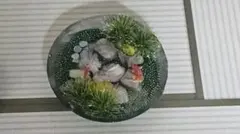ハンドメイド 金魚 ジオラマ風