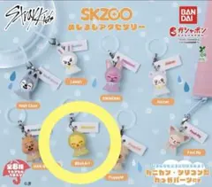 skzoo めじるしアクセサリー BbokAri