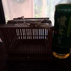 Item thumbnail for item 0bba2547-cb52-4768-b1cf-561fc9774ccd