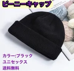 ビーニー ニット 浅型 ユニセックス　男女兼用 シンプル ブラック 帽子 黒
