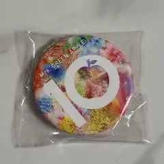 Mrs. GREEN APPLE 10コンパクトミラー