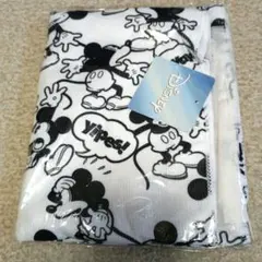 Item thumbnail for item 8e84322b-9dda-47a2-8ebe-4c91521edd61