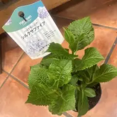 おまとめ依頼、値下げ交渉気軽にどうぞ❣️様 リクエスト 2点 まとめ商品