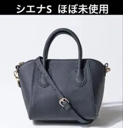 【ほぼ未使用】シエナ　Sサイズ　ブラック×ゴールド金具　ヘイニ　牛革
