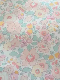 りんご様 リクエスト 5点 まとめ商品