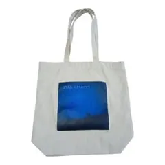 Item thumbnail for item 6f490b6f-2457-4afb-854d-1d4e3523508d