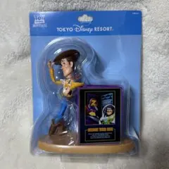 ディズニーリゾート トイストーリーホテル ウッディ 小物入れ