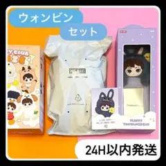 RIIZE ウォンビン POPMART ポップマート ぬいぐるみ カードホルダー