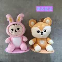 SEVENTEEN MINITEEN マグネットキーリング　トラム　シャスミ