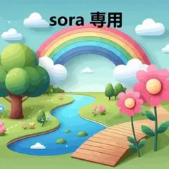 sora様 専用
