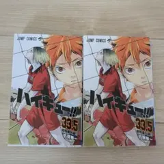 ハイキュー 音駒番外編 33.5