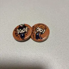 ハイキュー!! 缶バッジ 2点、キーホルダー、2点セット 日向翔陽 影山飛雄