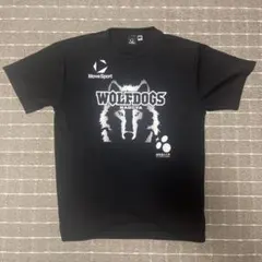 DESCENTE WOLFDOGS NAGOYA Tシャツ XOサイズ 6 - メルカリ