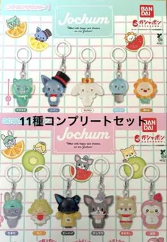 JOCHUM めじるしアクセサリー 1＆2 全11種コンプリートセット ガチャ