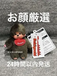 Item thumbnail for item bf5a44dd-35b4-46ae-a0a9-b5fcd0c3f819