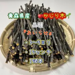 Item thumbnail for item 643047cb-850c-458e-9e8d-fbcebf7effc7