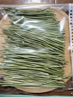 Item thumbnail for item c9d974e0-3256-4bf3-878c-494aa7185669