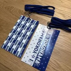 ベイスターズチケットホルダー２個セットのサムネイル