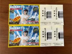 ナガシマスパーランド入場券+ジャンボ海水プール入場券おまけ付き