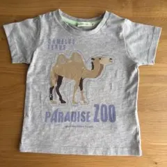BEAMS mini ラクダプリント Tシャツ グレーのサムネイル